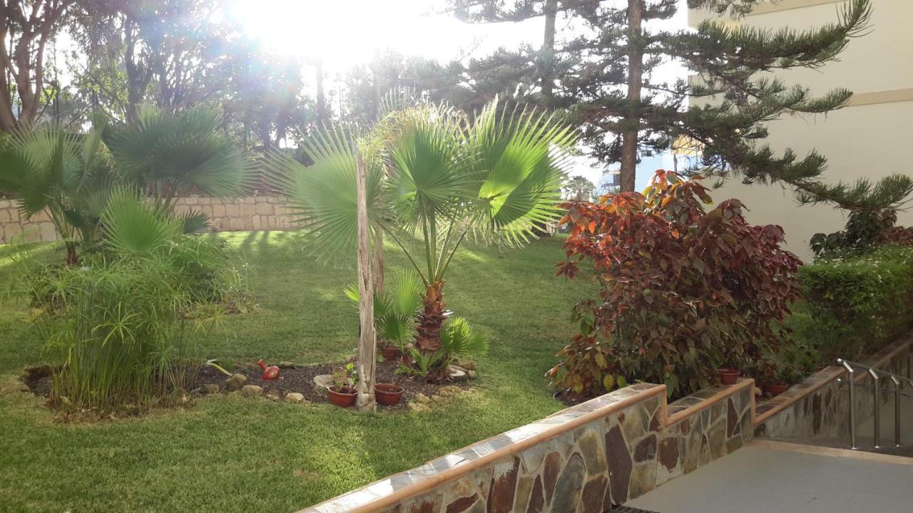 Lovely 1-Bedroom Apartment With A Big Terrace, Las Americas, Tenerife أرونا المظهر الخارجي الصورة