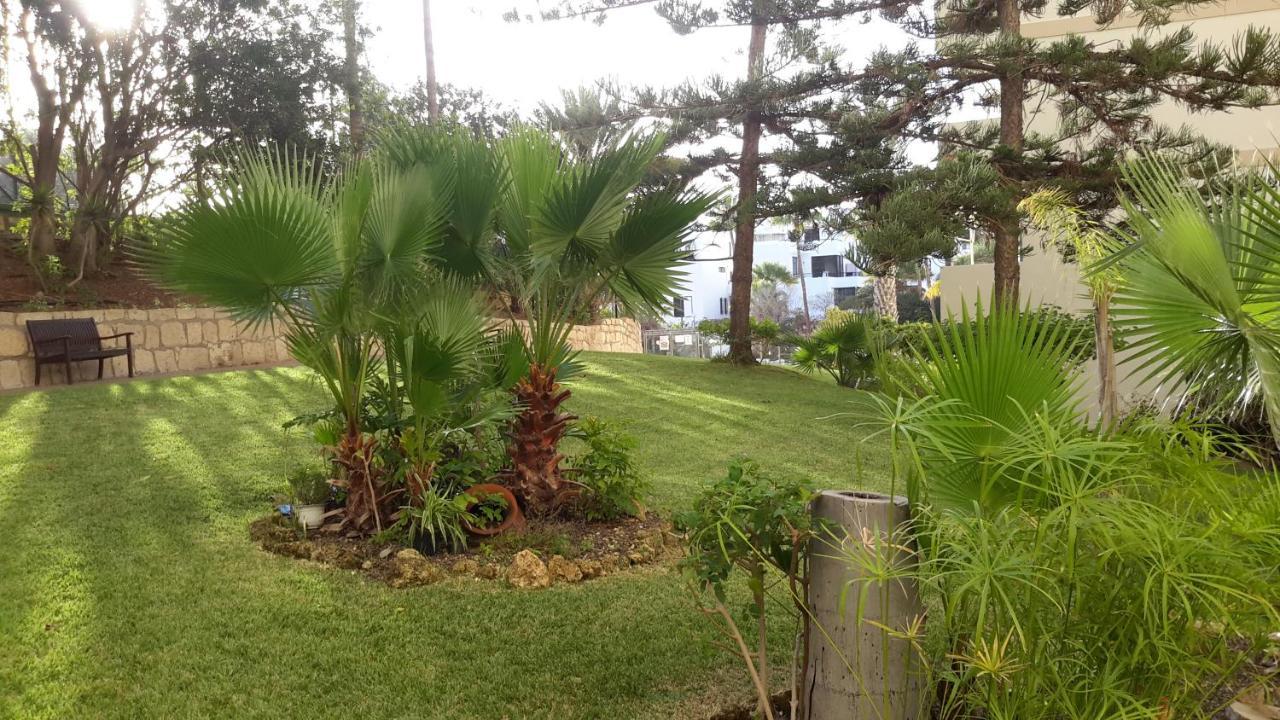 Lovely 1-Bedroom Apartment With A Big Terrace, Las Americas, Tenerife أرونا المظهر الخارجي الصورة
