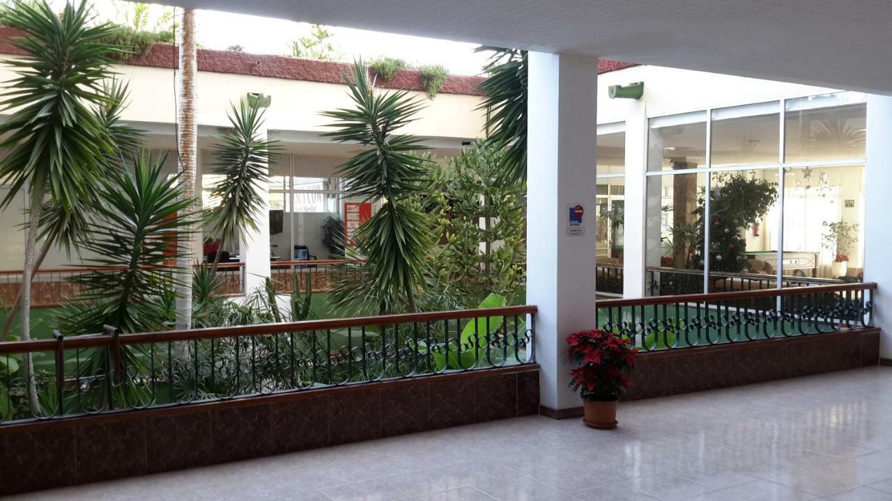 Lovely 1-Bedroom Apartment With A Big Terrace, Las Americas, Tenerife أرونا المظهر الخارجي الصورة