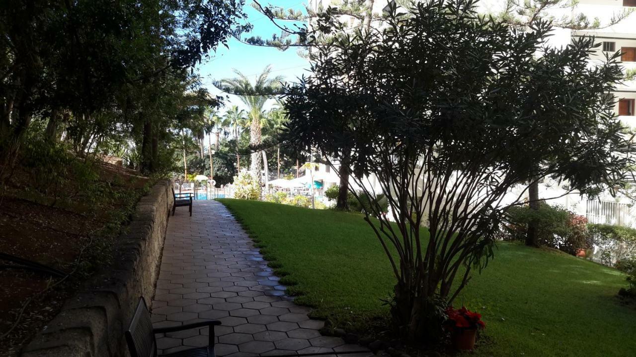 Lovely 1-Bedroom Apartment With A Big Terrace, Las Americas, Tenerife أرونا المظهر الخارجي الصورة